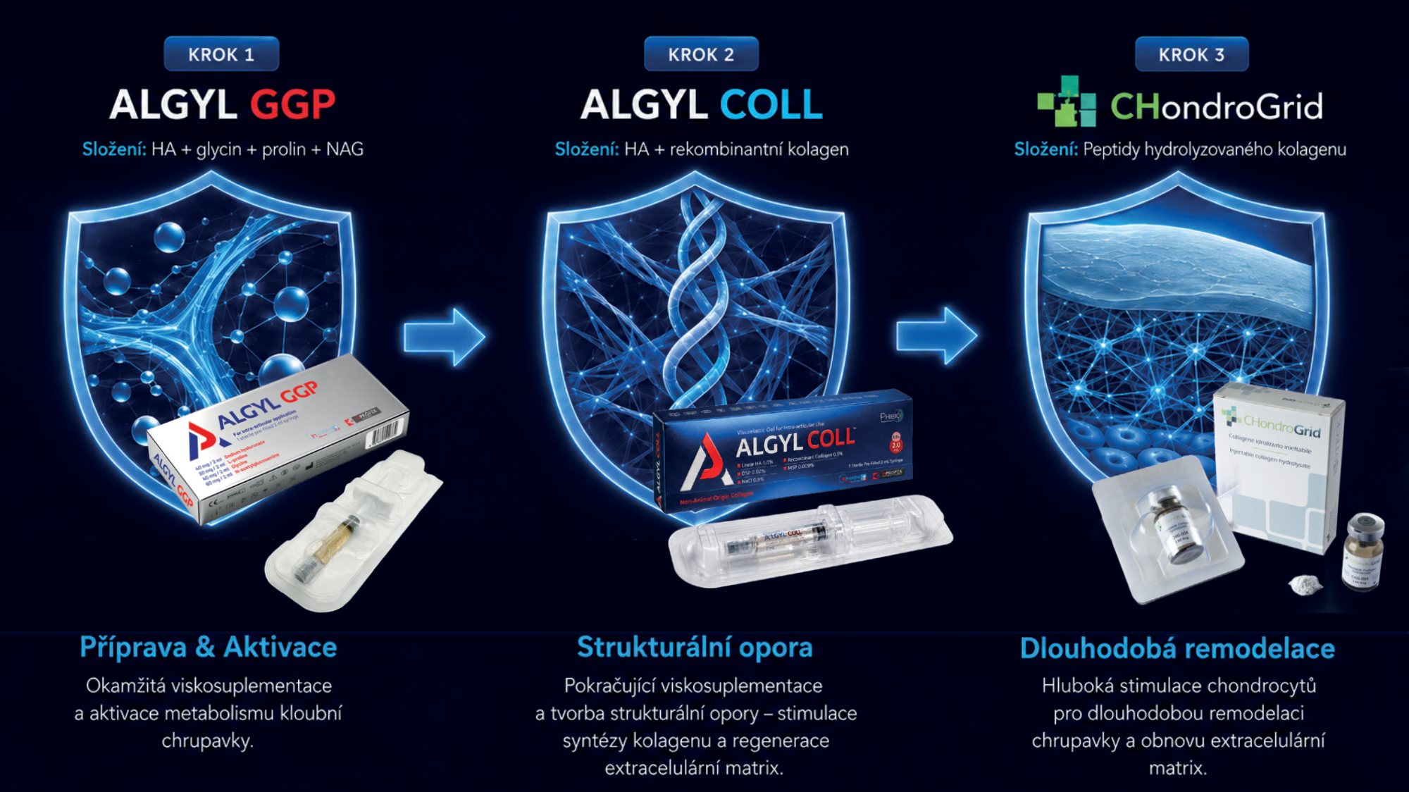 Sekvenční protokol – Krok 1: ALGYL GGP, složení: HA + glycin + prolin + NAG; Příprava & Aktivace: okamžitá viskosuplementace a aktivace metabolismu kloubní chrupavky. Krok 2: ALGYL COLL, složení: HA + rekombinantní kolagen; Strukturální opora: pokračující viskosuplementace a tvorba strukturální opory – stimulace syntézy kolagenu a regenerace extracelulární matrix. Krok 3: CHondroGrid, složení: peptidy hydrolyzovaného kolagenu; Dlouhodobá remodelace: hluboká stimulace chondrocytů pro dlouhodobou remodelaci chrupavky a obnovu extracelulární matrix.